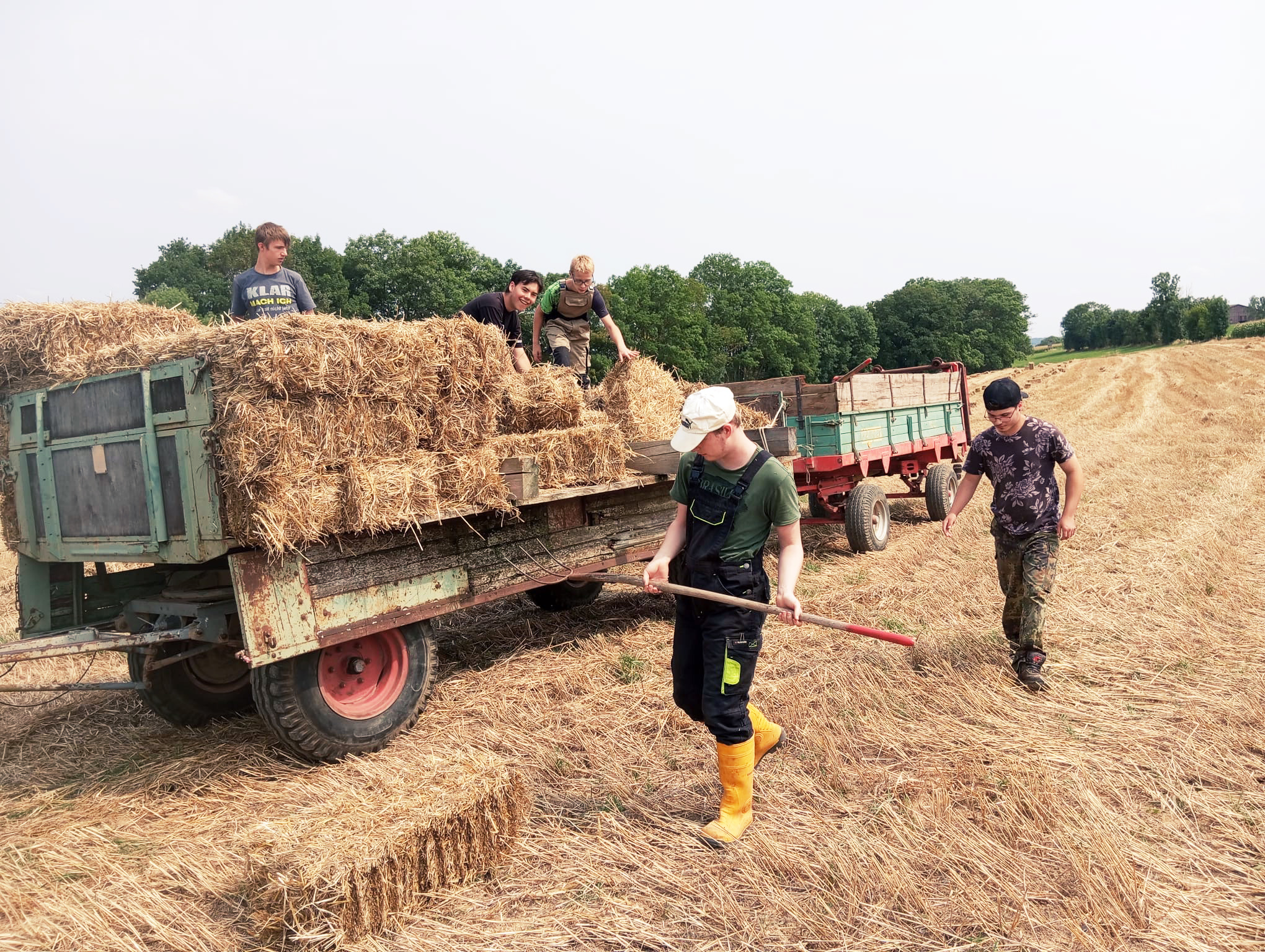 Auf einen Wagen werden von den Mitarbeitern Heuballen aufgeladen